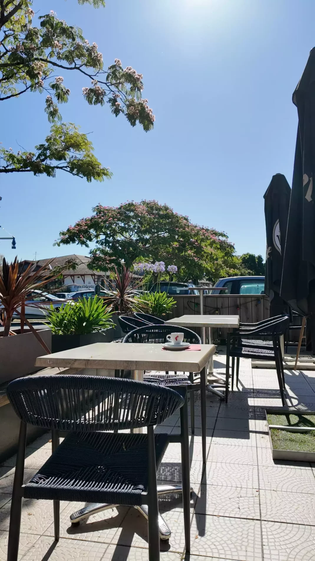 bar Bassin d'Arcachon